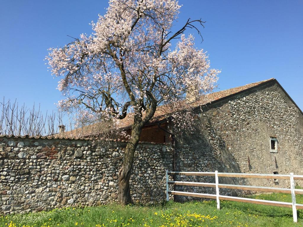 Antico Cascinale Lombardo Bed & Breakfast Lonato Eksteriør bilde